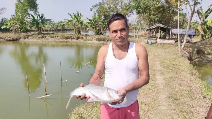 Common Fish Farming Mistakes in India % Hi-Pro Feeds